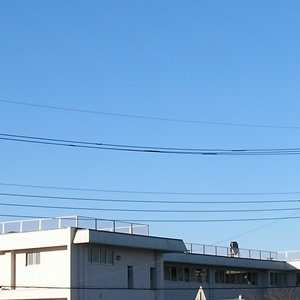 2015-12-04_07：57 空模様 宇都宮