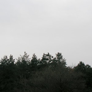 2015-12-13_07：36 空模様 宇都宮